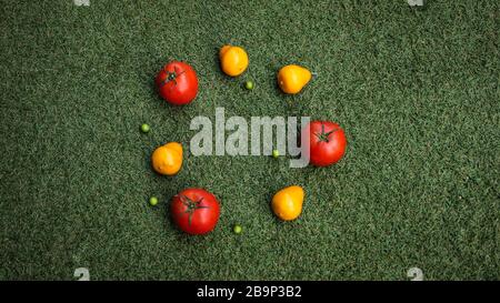Bunte Tomaten und Birnen mit Fruchtschmuck auf einem Grasgrund Stockfoto