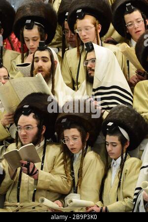 Hassidisch-jüdische Männer feiern Purim-Festival in ihrem Yeshiva (bibelschule) in Mea-Shearim-Viertel in Jerusalem. Stockfoto