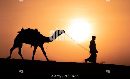 Man und Camel Silhouette in der Thar-Wüste, Indien Stockfoto