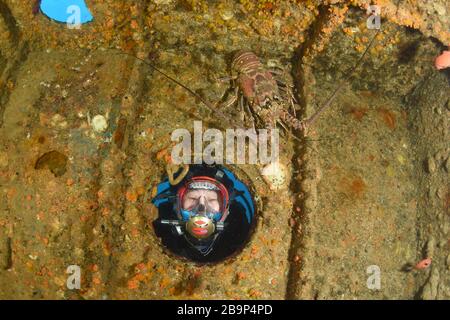 Unterwasseraufnahmen von Tauchern und Meereslebewesen beim Tauchen in einigen Schiffswracks rund um St. Maarten, Karibik Stockfoto