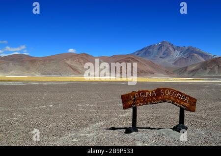 Schöne Lagune am Fuße des majestätischen Vulkans Socompa, Puna salteña, Argentinien. Stockfoto