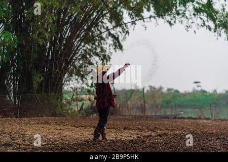 Ein vietnamesischer Bauer in asiatischen konischen Hüten streut die Samen zur Ernte. Ein landwirtschaftliches Foto aus den Dörfern Vietnams. Stockfoto