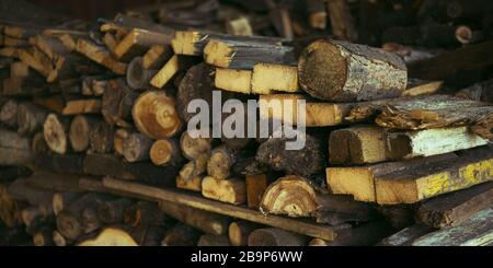 Brennholz in der Nähe. Verschiedene Holzarten, die für den Winter geerntet wurden Stockfoto