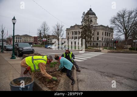 Bloomington, Vereinigte Staaten. März 2020. Die Stadt Bloomington Parks und die Erholungsarbeiter unterhalten während des nationalen Notfalls von Covid-19-Coronavirus in Bloomington einen erhöhten Schlafbereich für Pflanzen an der Ecke N. Walnut und 6th Street. Eric Holcomb hat eine Anordnung herausgegeben, dass alle nicht essentiellen Unternehmen schließen und nicht-essentielle Arbeiter ab Mittwoch zu Hause bleiben. Credit: SOPA Images Limited/Alamy Live News Stockfoto