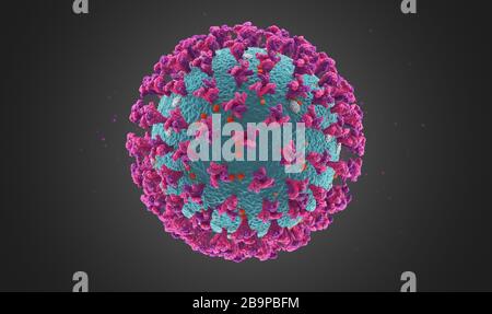 Coronavirus Visualisierung, medizinische Abbildung 3D-Rendering, die vollständige, detaillierte Oberflächenstrukturen zeigt, die nahezu genaue Darstellung von Virion Stockfoto