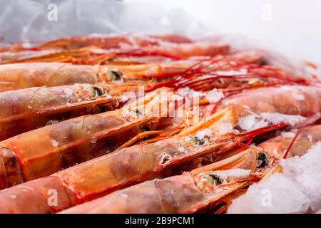 Fantastische frische, große, gefrorene Garnelen. Rosa frische, ungekochte Garnelen. Nahaufnahme. Lieferung von gefrorenen Meeresfrüchten in Packungen mit Hufeisen an der Theke. Stockfoto