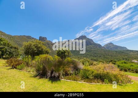 Kirstenbosch National Botanical Garden Western Cape Südafrika Stockfoto