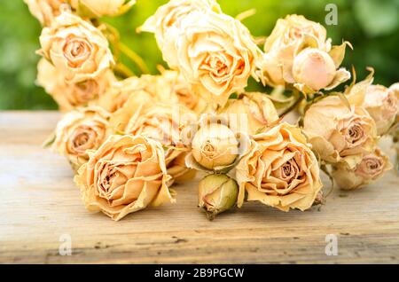 Verwelkte Rose auf Holzhintergrund. Abstrakter Feiertagsrahmen mit getrockneten Rosen auf alten Holzplatten Stockfoto
