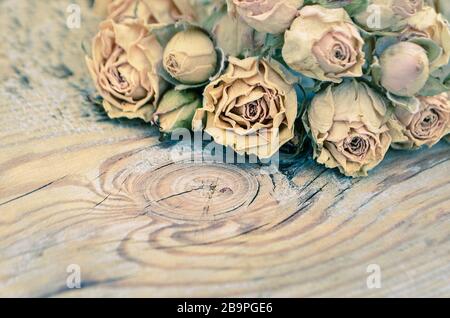 Rosen liegen auf rustikalem Vintage-Holzhintergrund Stockfoto