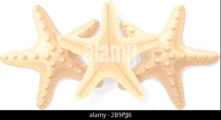 Vector Tropical Muster Clip Art. Sea Design Element Stock Vektor