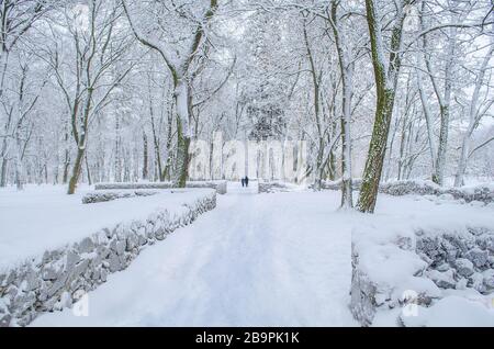Winterlandschaft mit altem Steinfelsen. Alte Ruinen in einem schönen alten Park. Ein Paar, das auf der Gasse spazieren Stockfoto