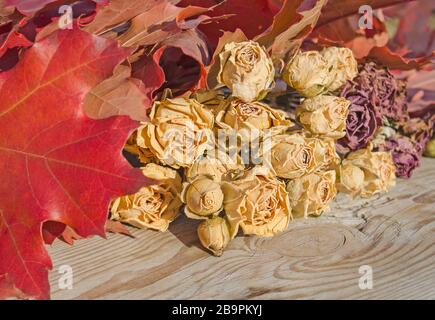 Getrocknete Rosen liegen auf rustikalem Holzhintergrund. Stockfoto