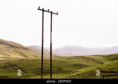 In den Ausläufern der Drakensberge befinden sich Strommasten Stockfoto