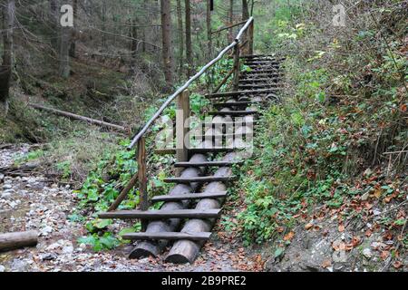 holztreppe in der Bergschlucht. Landschaft im Slowaken Paradies. Stockfoto