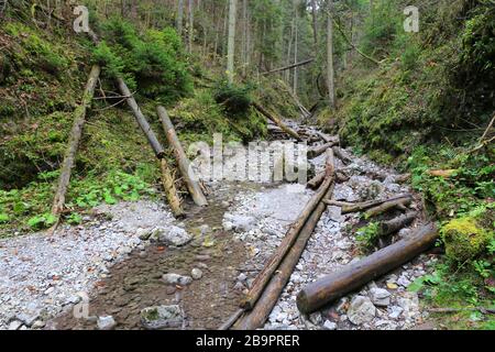 Landschaft in der Bergschlucht Slovensky Raj, Slowakei Stockfoto