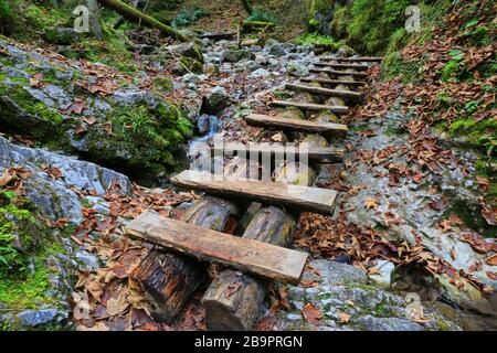 Holztreppe in der Bergschlucht Slovensky Raj. Herbstlandschaft in der Slowakei Stockfoto