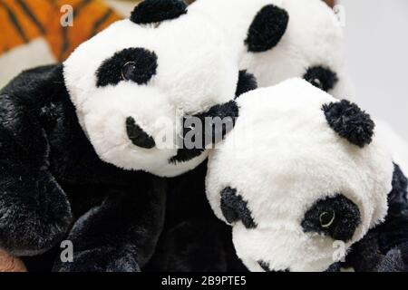 Drei weiche Spielzeuge für Panda-Kinder Stockfoto