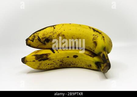 Leicht überreife Bananen. Sie sind noch für den Verbrauch geeignet. Ein Beispiel für Lebensmittel, die nicht verschwendet werden, die im Laden entsorgt würden Stockfoto