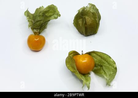 Gruppe der Physalis, kap-gänsebeere fuits in verschiedenen Formen. Reife Fuits mit satten Farben. Stockfoto