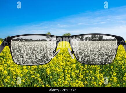 Blick durch eine Brille, um die Natur mit blauem Himmel und gelbem Feld zu bleichen. Farbblindheit. Weltwahrnehmung während der Depression. Stockfoto