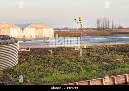 Wetterstation zur Messung von Temperatur, Luftfeuchtigkeit und Windgeschwindigkeit in einer Baumschule in Boskoop, Niederlande Stockfoto