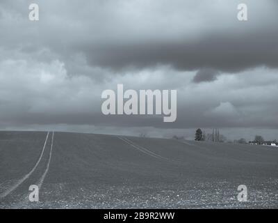 The Chiltern Hills, AONB, Black and White Landscape, Winter Sky's, vom Ridgeway National Trail, Nufied, Oxfordshire, England, Großbritannien und GB aus betrachtet. Stockfoto