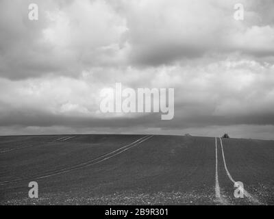 The Chiltern Hills, AONB, Black and White Landscape, Winter Sky's, vom Ridgeway National Trail, Nufied, Oxfordshire, England, Großbritannien und GB aus betrachtet. Stockfoto