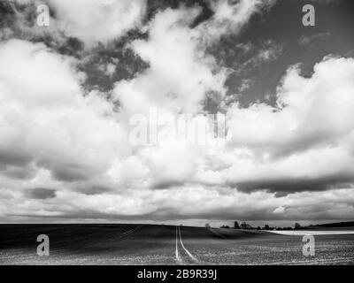 The Chiltern Hills, AONB, Black and White Landscape, Winter Sky's, vom Ridgeway National Trail, Nufied, Oxfordshire, England, Großbritannien und GB aus betrachtet. Stockfoto