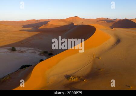 Big Mama Dune in Sossusvlei Area, Namib Naukluft Park, Namibia Stockfoto
