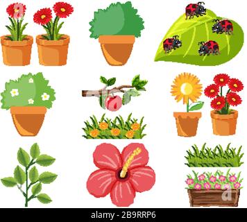 Großer Natursatz mit Blumen und Blättern auf weißer Hintergrundillustration Stock Vektor