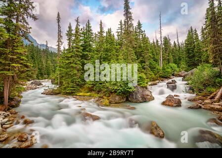 Gebirgsstromlandschaft im Glacier National Park, Rocky Mountains, Bristish Columbia, Kanada Stockfoto