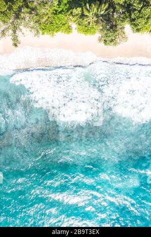 Seychellen Takamaka Strand Mahé Mahe Portrait Format Urlaub Paradies Ozean Drohne Blick Luftfotografie Stockfoto