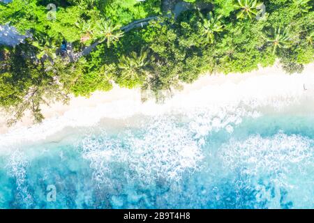 Seychelles Strand Mahé Mahe Insel Natururlaub Paradies Drohne Blick Luftfotografie Stockfoto