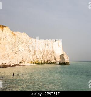 Chalk Klippen der South Downs, East Sussex, England. Die kultigen Kreidefelsen in der Nähe von Seaford an Englands Südküste an einem ruhigen, düsteren Abend. Stockfoto