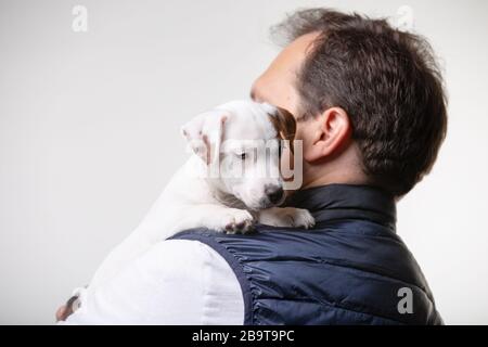 Mann hält Jack russell Terrier Welpen in den Händen Stockfoto