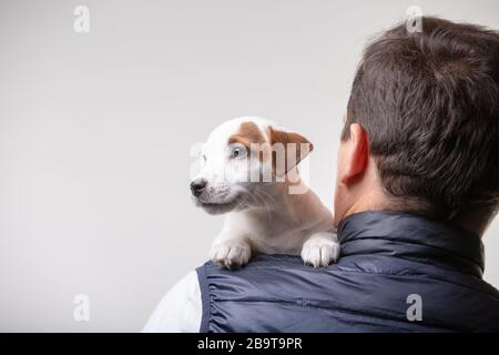 Mann hält Jack russell Terrier Welpen in den Händen Stockfoto