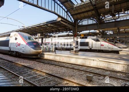 Paris, Frankreich - 23. Juli 2019: Französische TGV-Hochgeschwindigkeitszüge Paris EST Bahnhof Gare in Frankreich. Stockfoto