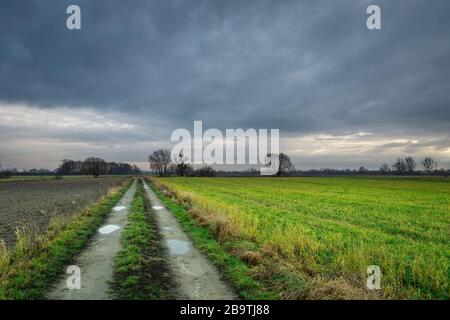 Lange Schuttstraße zwischen den Ackerflächen, Blick auf einen bewölkten Tag Stockfoto