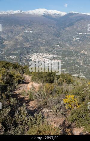 Fußweg der Ruta de los Mineros im Vordergrund. Die Stadt liegt im westlichen Alpujarra-Tal, unterhalb der Berge der Sierra Nevada, Andalusien, Spai Órgiva Stockfoto