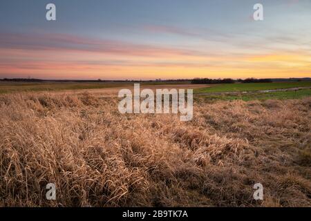 Hohes und trockenes Gras auf einer Wiese, bunte Wolken nach Sonnenuntergang Stockfoto