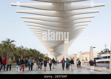 Menschen, die unter einem Sonnenschirm namens Muelle Ono, entworfen von Santiago Calatrava, in der Hafengegend, Málaga, Andalusien, Spanien laufen und radeln Stockfoto