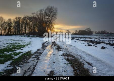 Eisige Schuttstraße durch Felder, Sonnenuntergang hinter Bäumen und dunkle Wolke am Himmel, Winterblick Stockfoto