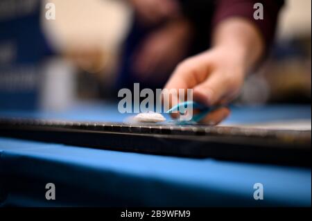 Die magnetische Levitation wird mit einem STAMMVERSUCH auf einem Wissenschaftsfestival demonstriert. Stockfoto