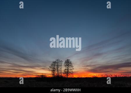 Silhouetten von Bäumen auf einer Wiese und bunte Wolken am Himmel nach Sonnenuntergang Stockfoto