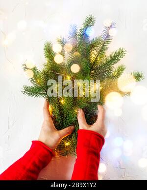 Hand der Frau, die Tannenzweige hält, Draufsicht Stockfoto