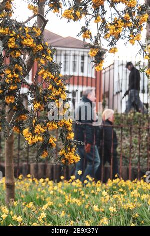 Cardiff, Wales. März 2020. Cardiff City Council hat den Spielbereich der Kinder im Roath Park aufgrund der Zunahme von COVID-19 geschlossen Stockfoto