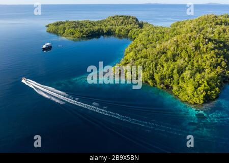 Wunderschöne Korallenriffe umsäumen die Inseln in Raja Ampat, Indonesien. Dieses tropische Gebiet ist für seine unglaublich hohe biologische Vielfalt auf dem Meer bekannt. Stockfoto