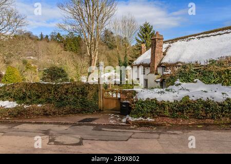 Schnee auf dem Dach eines Reetdachhauses im historischen Dorf Cockington, Torquay, Devon, Großbritannien. März 2018. Stockfoto