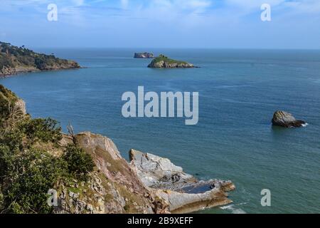 Meerblick über die Meadfoot Bay einschließlich der Inseln Ore Stone, Thatcher Rock und East Shag, Torquay, Devon, Großbritannien. März 2018. Stockfoto