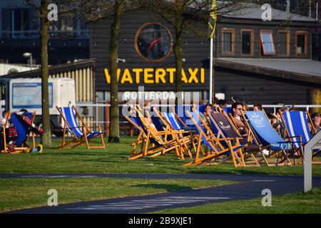 Blick auf den Rasen am Ende des Kop van Zuid neben dem Wassertaxi; beliebter Ort zum abhängen an einem sonnigen Tag Stockfoto